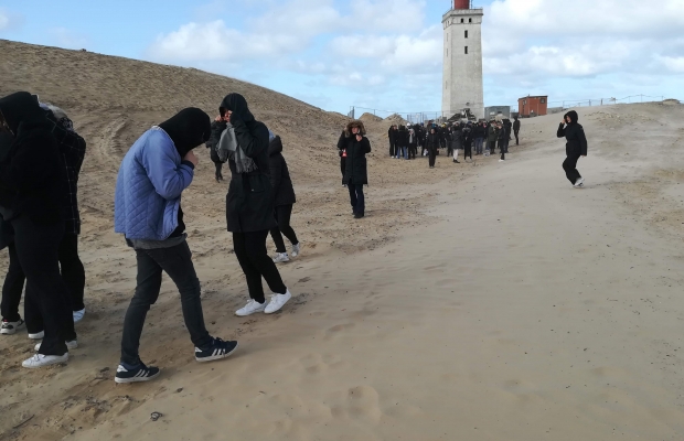 Billede af 2’gerne blev blæst omkuld ved Rubjerg knude